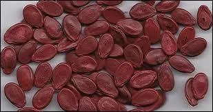 Lequel de ces fruits a des ppins ?