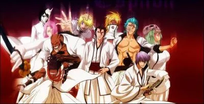 Qui sont les arrancars ?