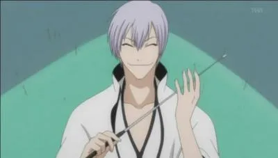 Quel est le pouvoir de son zanpakuto ?