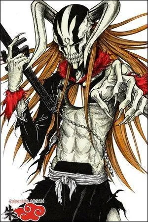 Comment se nomme le procd qui permet a un shinigami d'avoir les pouvoirs d'un hollow ?