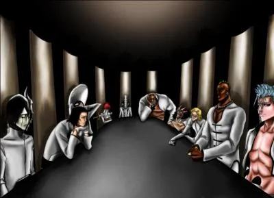 Comment se nomme le groupe des dix meilleurs arrancars ?