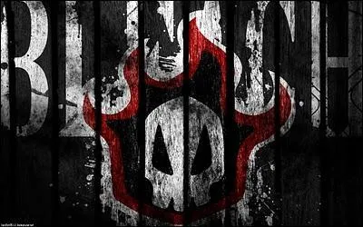 Quel est le groupe auquel Ichigo Kurosaki appartient ?