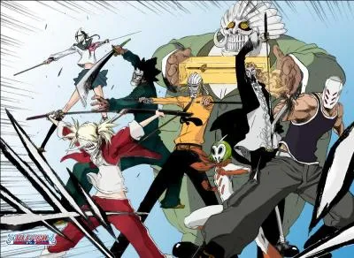 Qui sont les vizards ?