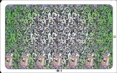 Que voyez-vous dans cette photo ?