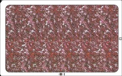 Que voyez-vous dans cette photo ?