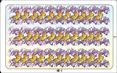 Que voyez-vous dans cette photo ?