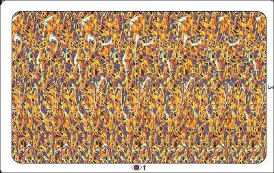 Que voyez-vous dans cette photo ?