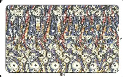 Que voyez-vous dans cette photo ?