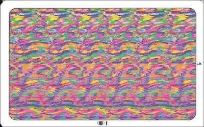 Que voyez-vous dans cette photo ?