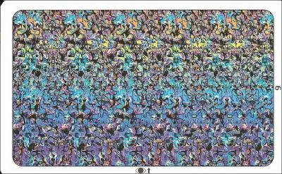 Que voyez-vous dans cette photo ?