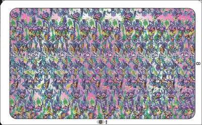 Que voyez-vous dans cette photo ?