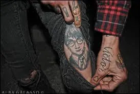 Quel membre est fan de Harry Potter ?