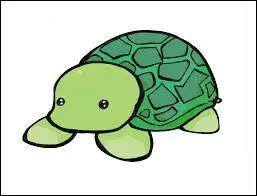 Quel membre est surnomm  Turtle  ?
