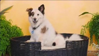 Que tient-il en secret ?