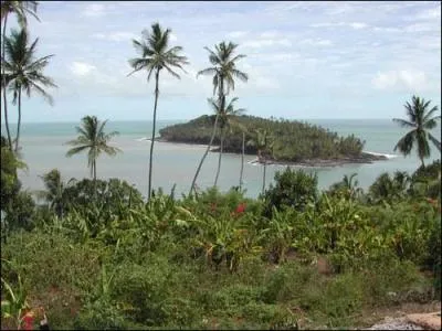 D'o Papillon s'vada-t-il ?