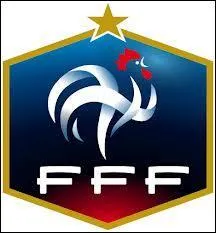 Dans quel sport la France n'a-elle pas été championne du monde chez les hommes ?