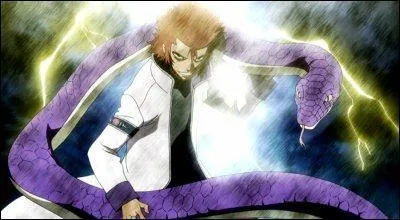 Quel est le pouvoir de ce Dragon Slayer (chasseur de dragons) ?