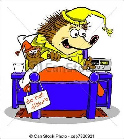 Celui-ci ne manque pas de piquant sur l'oreiller !