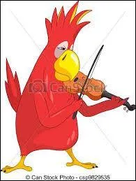 Un vrai perroquet, toujours au violon !