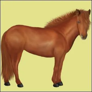 Quelles sont les robe simples ?