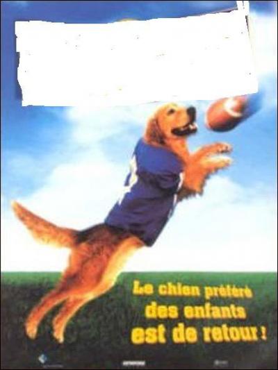 Quel est le titre de ce film ?