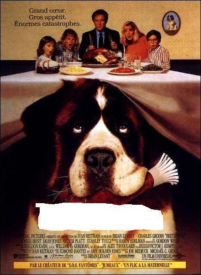 Quel est le titre de ce film ?