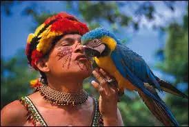 25 juillet 1941 : La bataille de Jambeli se droule entre l'Equateur et...