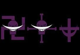 A qui appartient ce drapeau ?