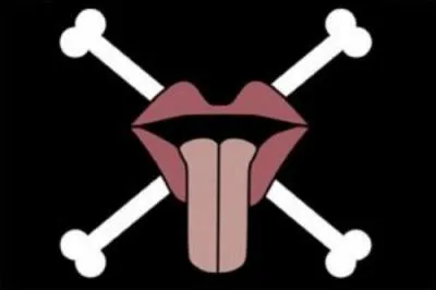 A qui appartient ce drapeau ?