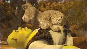[Shrek 1] (***) Lorsque Shrek et l'ne contemplent les toiles, qu'est-ce l'ne prend pour une toile ?