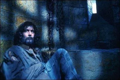 Par qui Sirius se fait-il librer ?