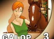 Quiz Les chevaux - Galop 3