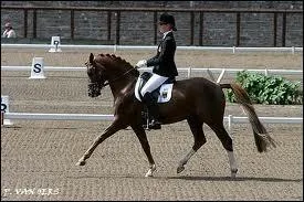 Qu'est-ce qui ne fait pas partie de l'apprentissage du Galop 3 ?