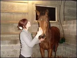 Avec quoi grattons-nous la boue sche colle dans les poils ?