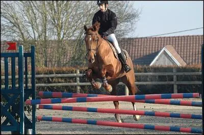 Quel est cet obstacle ?