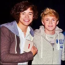 Qui Harry Styles et Niall Horan ont-ils embrass sur la bouche aux VMA ?