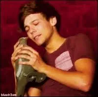 Comment s'appelle le pigeon de Louis ?