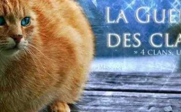 Quiz Guerre