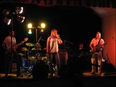 Quel intrument est absent du groupe de 'reggae ska rock' Dan'Skala ?