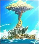 Qui gagne et devient mage de rang S sur l'le Tenr ?