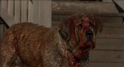 Quel est ce film d'horreur ?