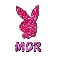 Par quoi peut-on remplacer  Mdr  ?