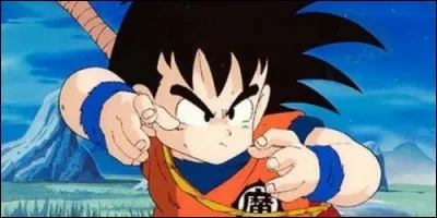Qui emmène Gohan après la mort de Goku ?