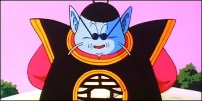 Quelle est la particularité du maître Kaio du Nord?