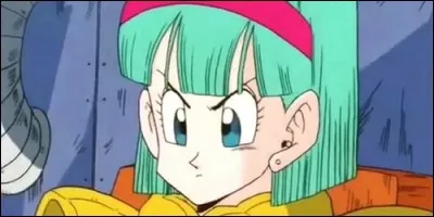 Avec qui Bulma va-t-elle sur Namek pour chercher les Dragon Balls ?