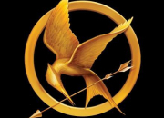 Quiz Hunger Games 1 : questions difficiles