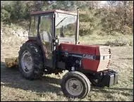 Qu'est-ce qu'un orang-outan ?