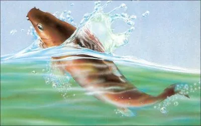 A qui appartient cette pochette?