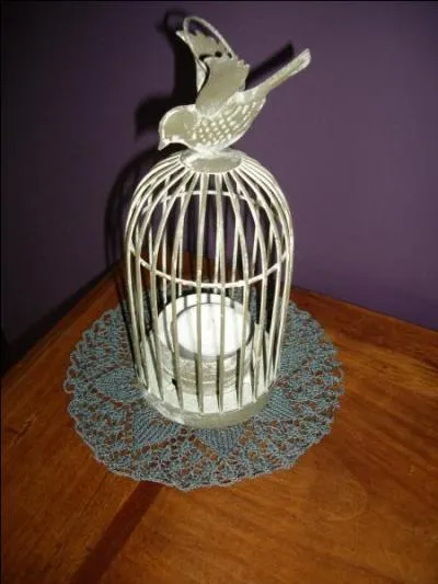 J'aime entrer dans la petite cage o j'essaie de trouver la sortie. Qui suis-je ?