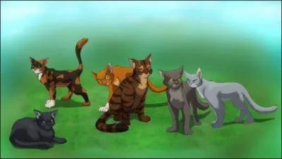 Quels sont les deux chats qui se sont rajouts  la qute  l'endroit o le soleil sombre dans l'eau  ?